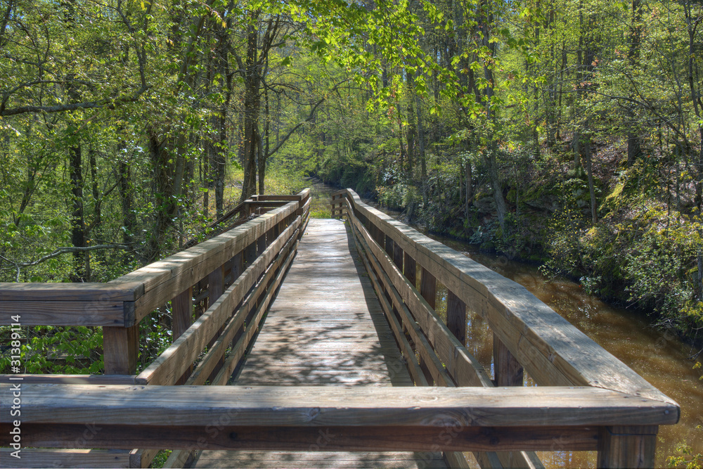 Fototapeta premium Wooden Walkway
