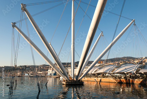 bigo con riflessi nel porto antico di Genova photo