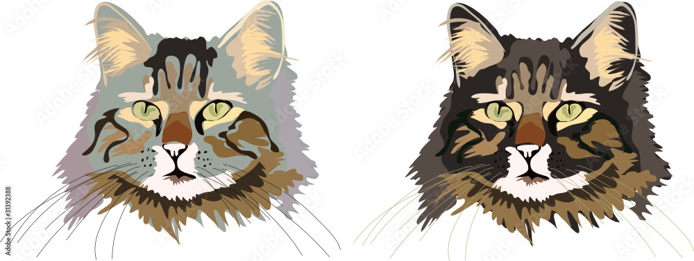Obraz premium Katzenköpfe