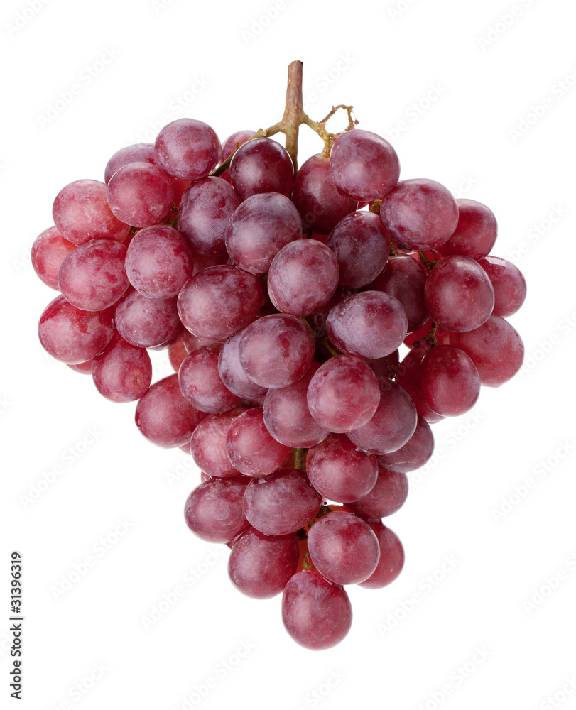 Fresh red grapes branch