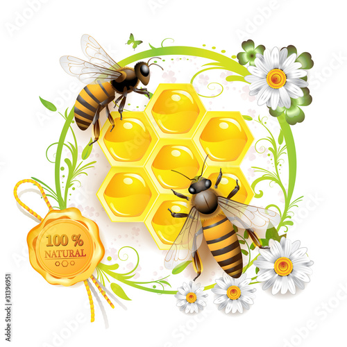 Two bees and honeycombs over floral background