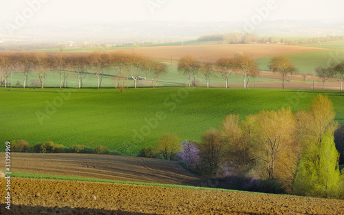 paysage champetre photo