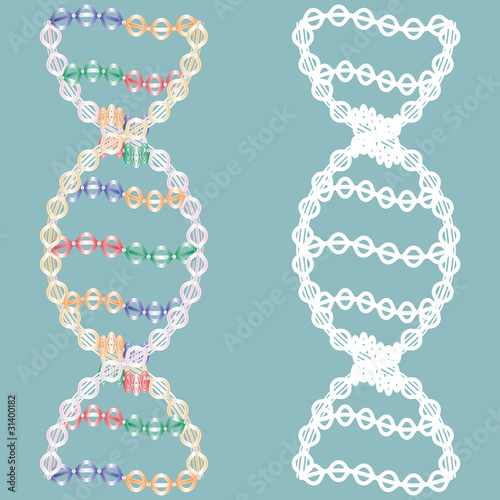 Isolated seamless DNA