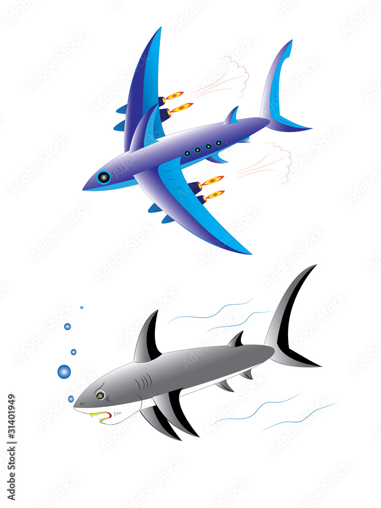 The plane and a shark.