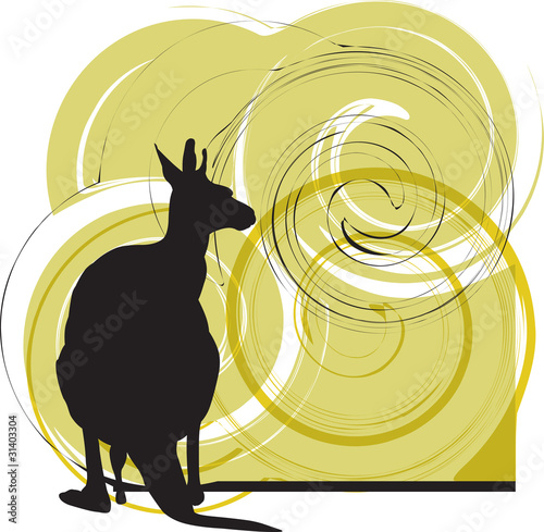 kangaroo vector illustration