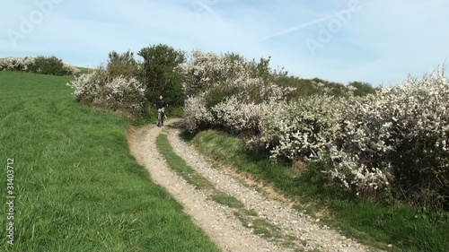 vélo au printemps photo