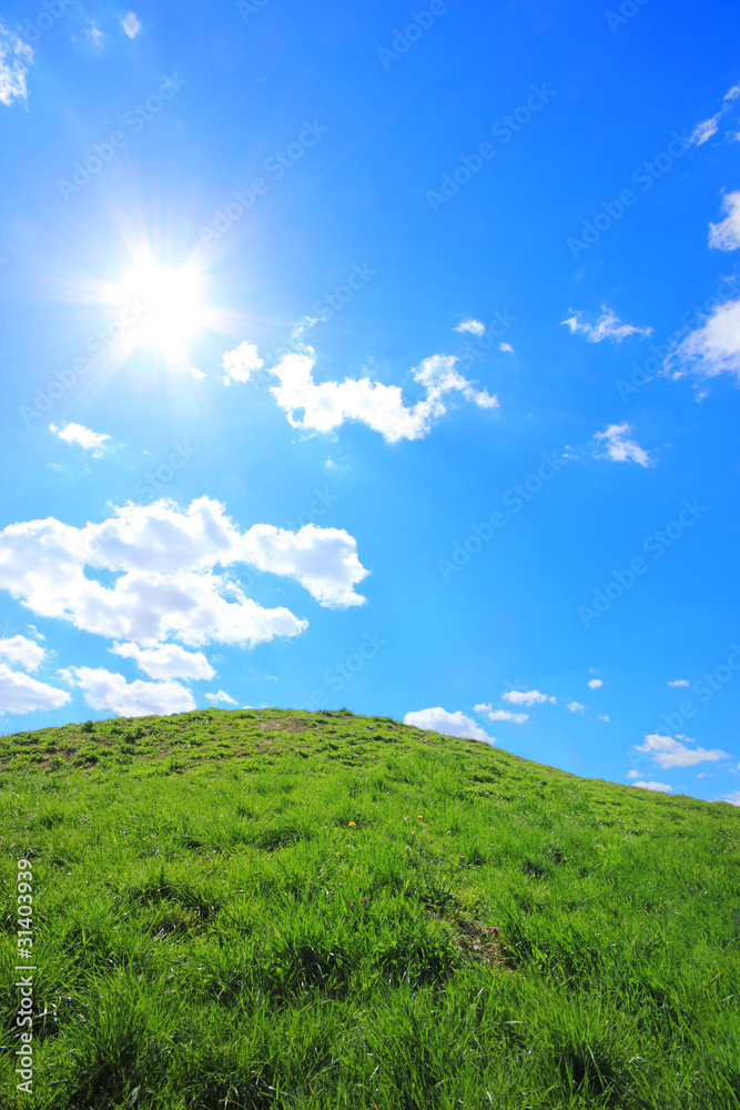 Green grass hills under midday sun