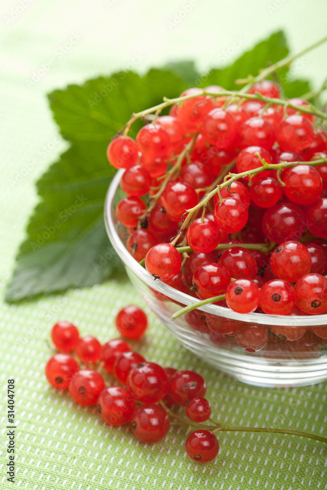 fresh redcurrant fresh redcurrant
