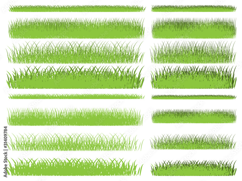 Fototapeta premium Grass collection