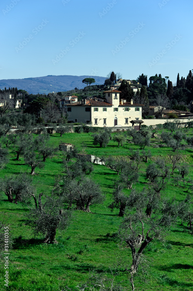 Tuscan landscape