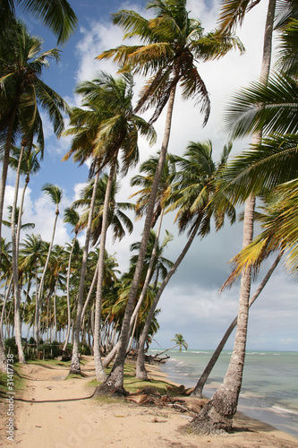 Wild Beach in Dominican Republic