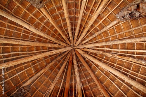 Hut palapa traditional sun roof wiev from above photo