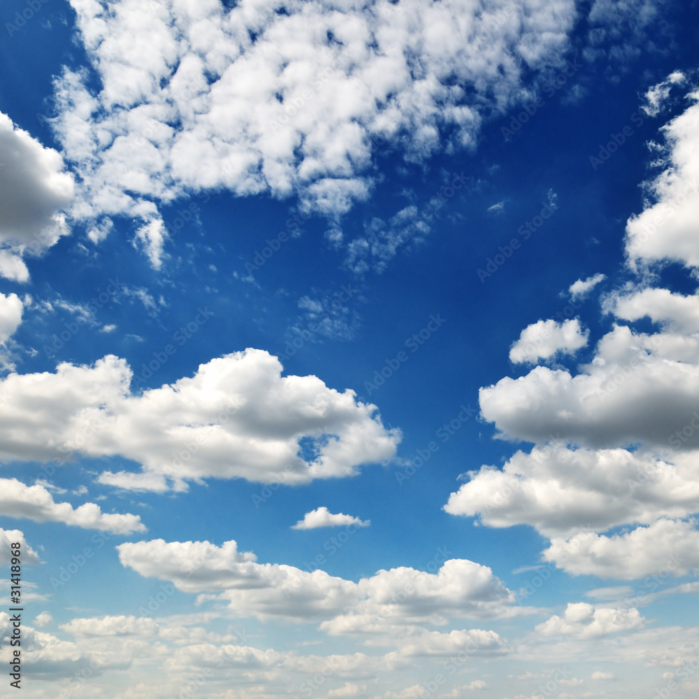 Fototapeta premium blue sky