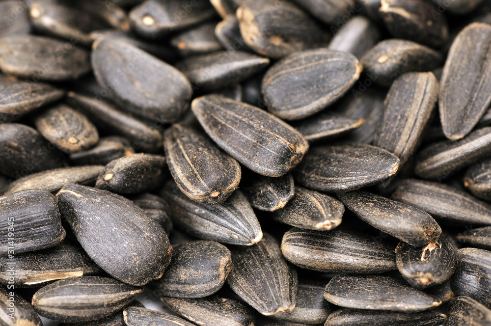 sunflower seeds