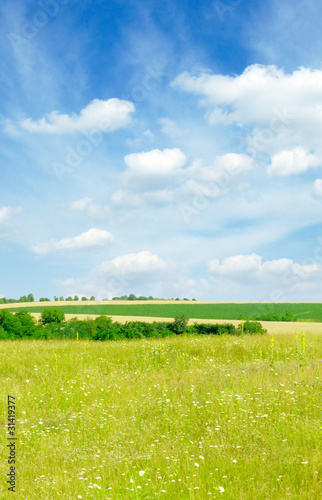 meadow and blue sky © Serghei V