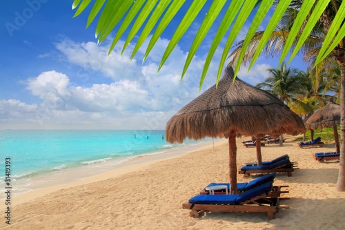 Fototapeta Naklejka Na Ścianę i Meble -  Mayan Riviera beach palm trees sunroof Caribbean