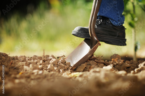 Digging soil with shovel photo
