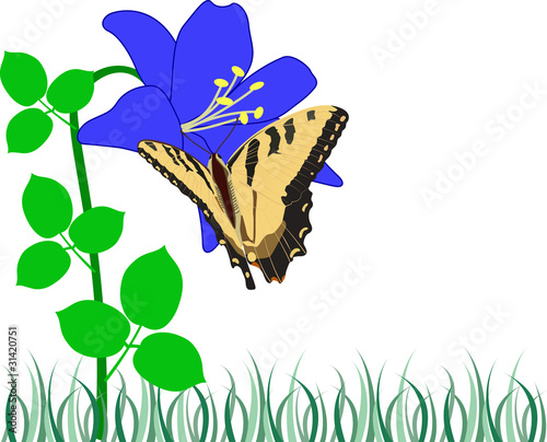 butterfly flower 2