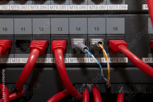 Red patch cord into communacation panel photo