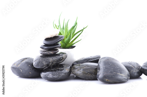 pierre relaxation en équilibre