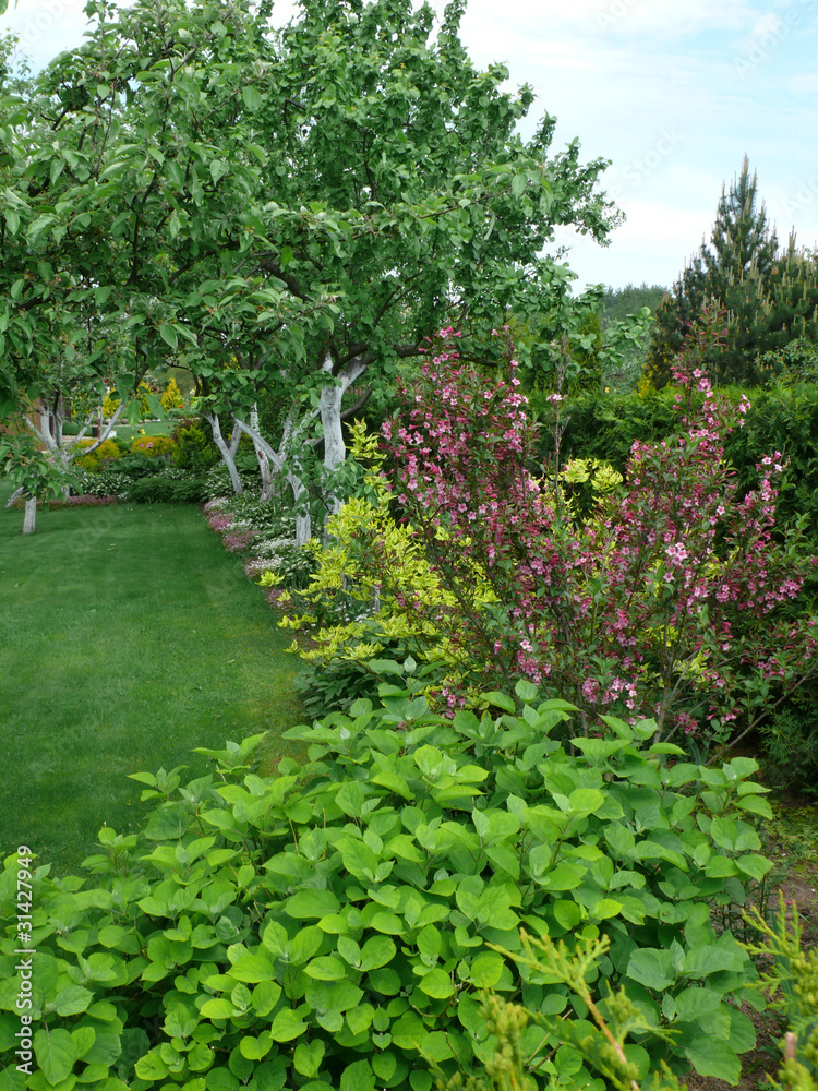 Part of spring garden Part of spring garden