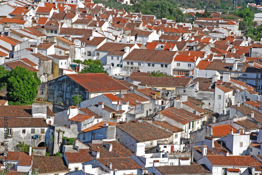 red tile roofs in medieval village