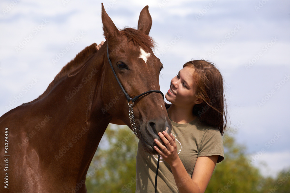 Obraz premium horse