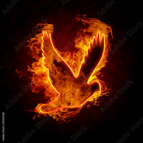 Burning Bird photo