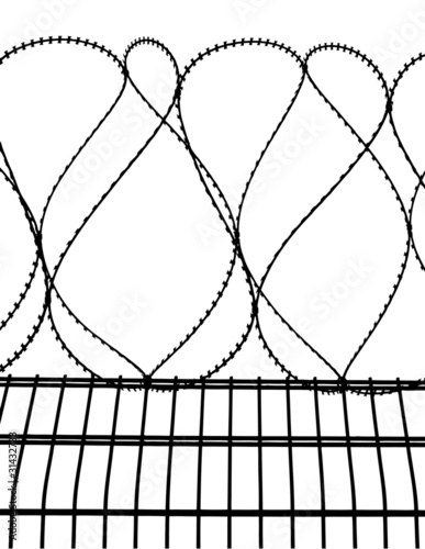 barbed wire fence