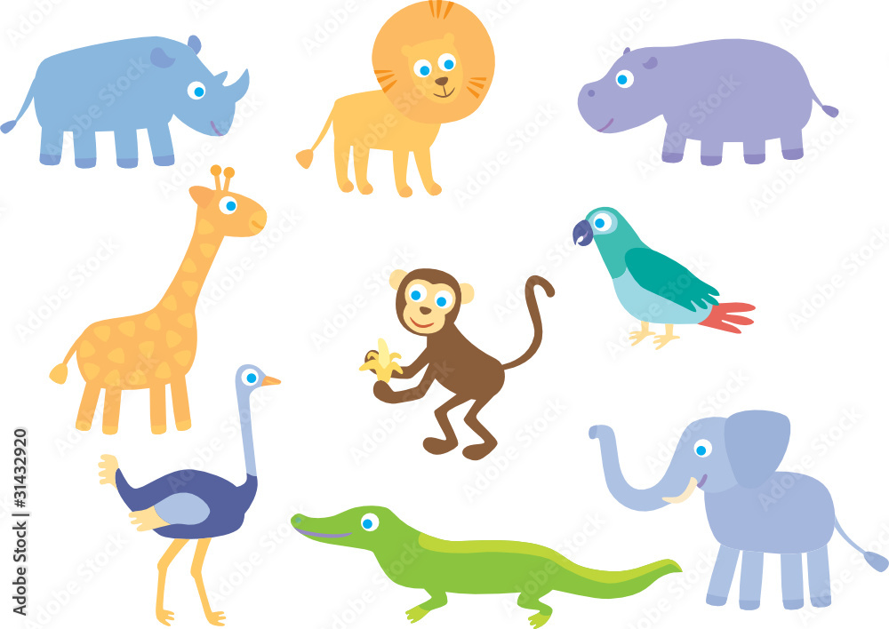 African animals and birds African animals and birds