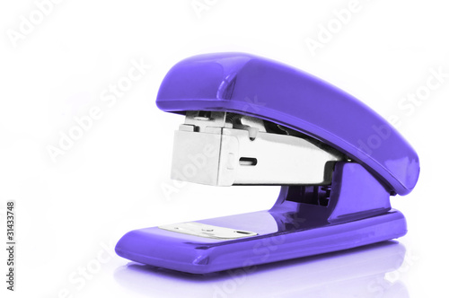 Purple stapler photo
