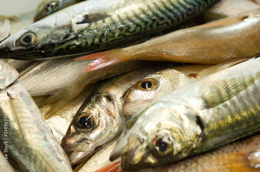 pesce appena pescato Stock Photo | Adobe Stock