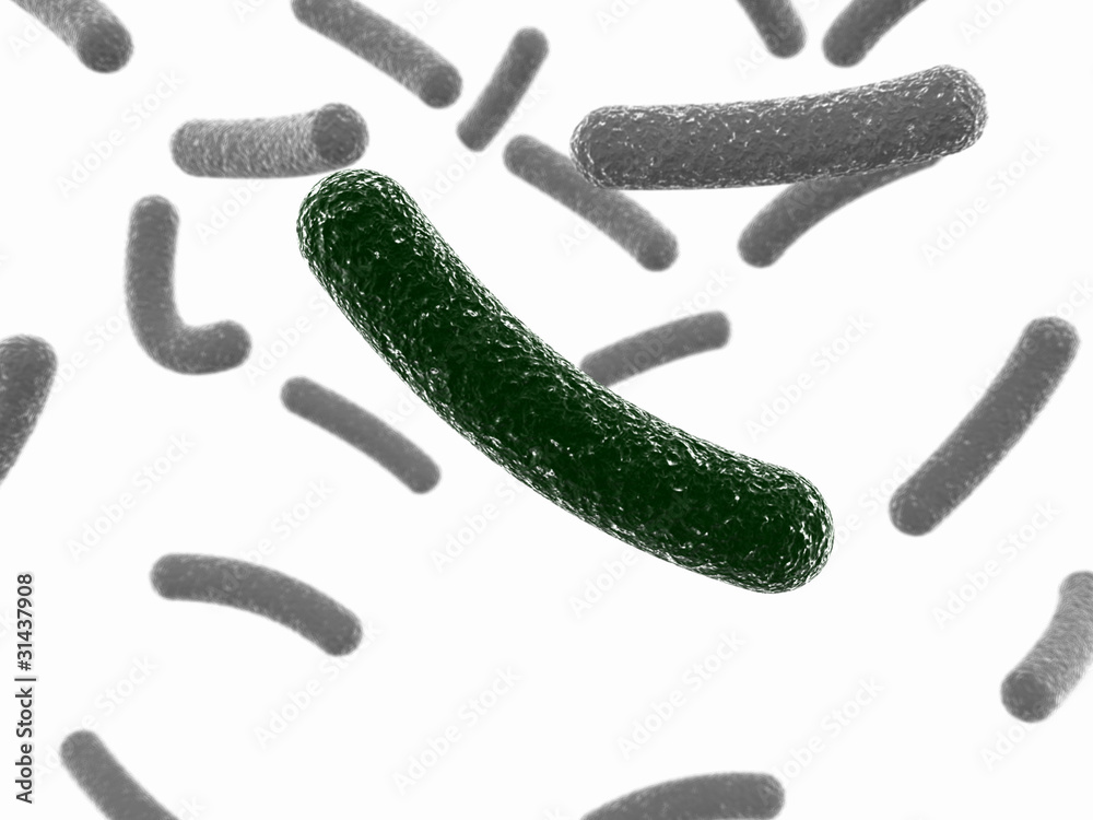 Green bacterium Green bacterium