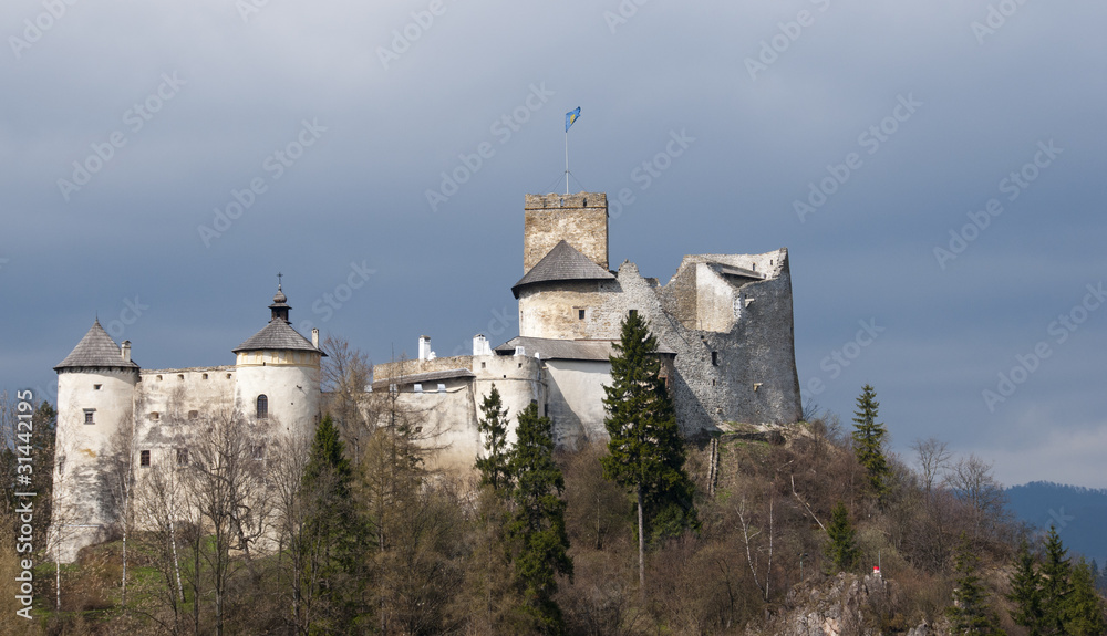 Dunajec castle