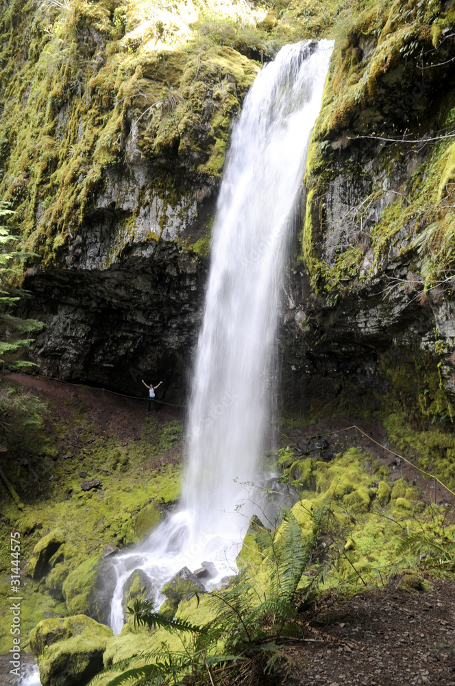 Angel Falls, Cispus, Washington state