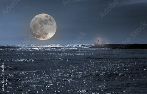 Tableau sur toile Seascape with full moon
