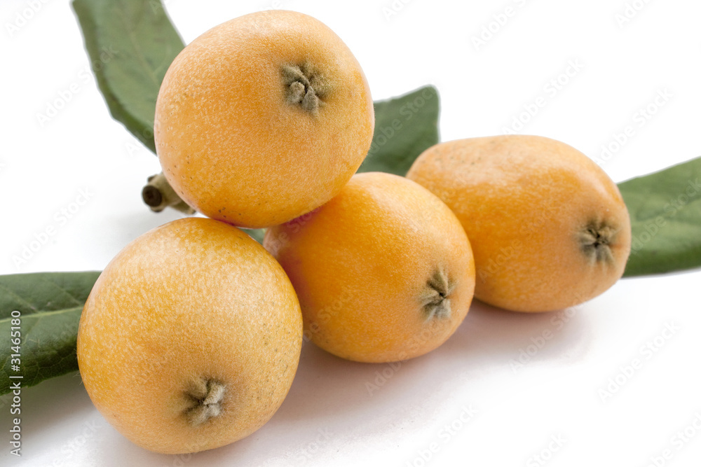 Loquat Loquat