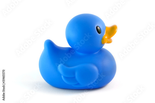 single blue rubber duck