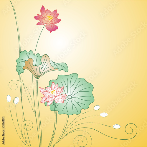 金色荷花