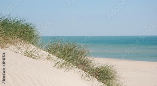 Fototapeta Naklejka Na Ścianę i Meble -  La dune et la mer