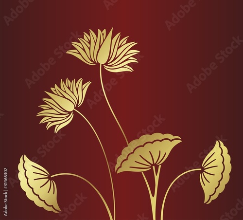 water lilies