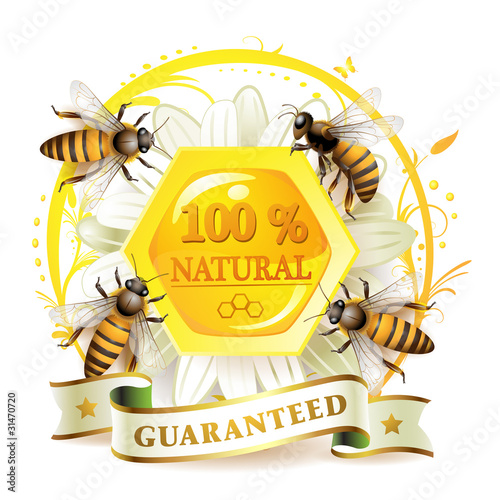 Bees and honeycombs over floral background