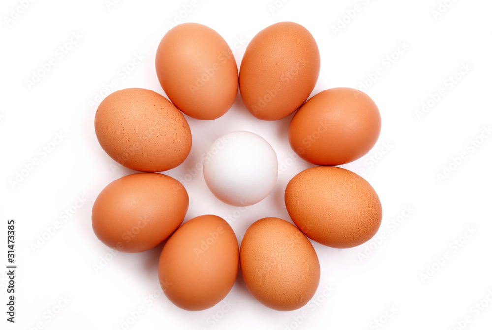 eggs isolated on white background close up eggs isolated on white background close up