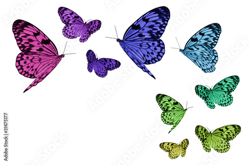 Colorful butterflies, each with a clipping path