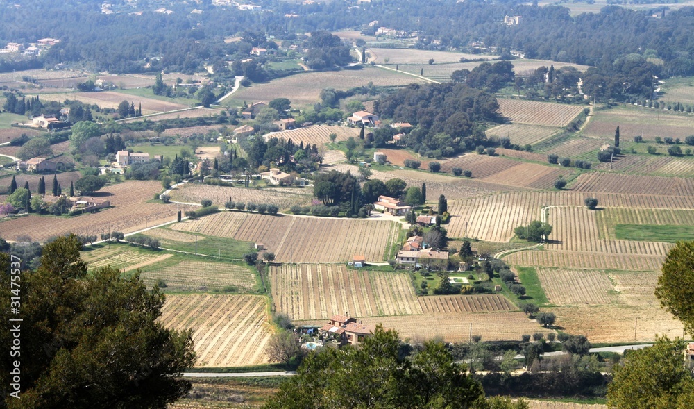 Vignoble du Castellet ( Var )
