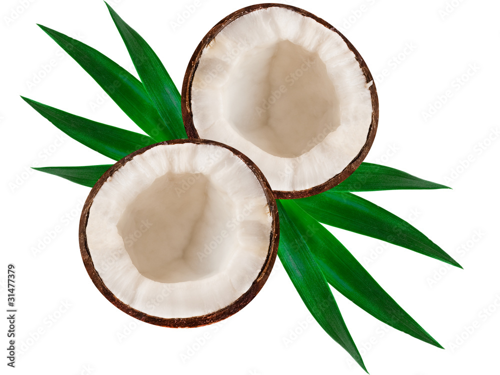 coconut isolated on white background coconut isolated on white background