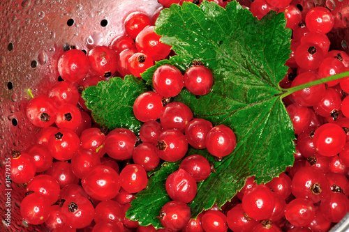 currant, fresh, fruit, food, vegetatian photo