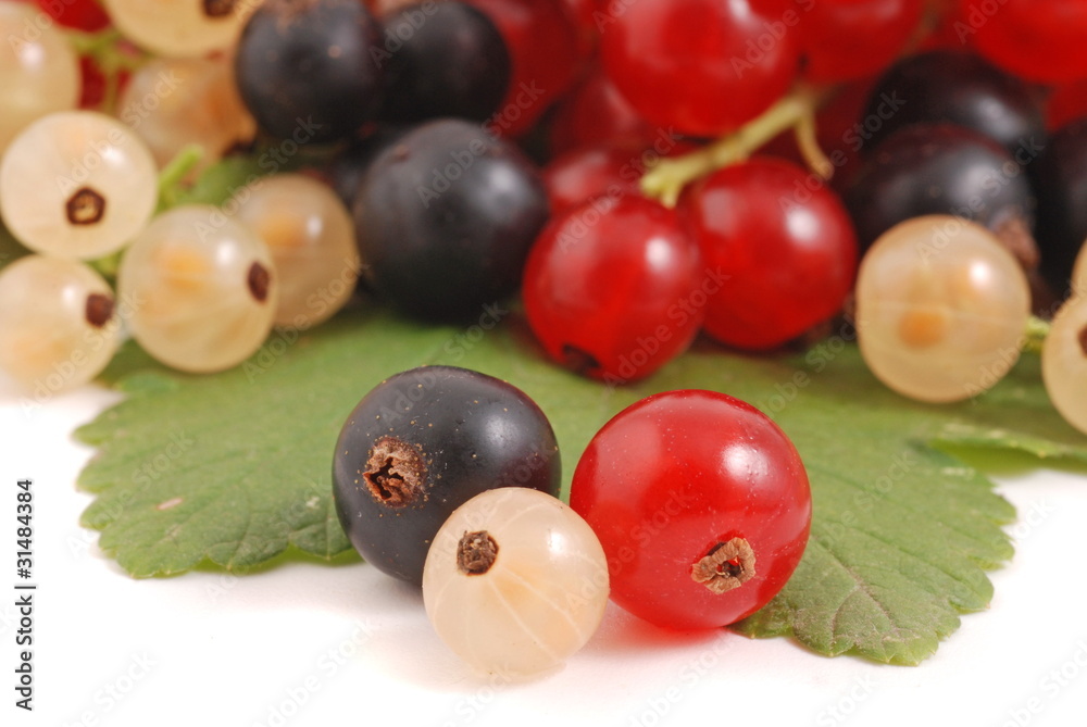 Johannisbeeren Johannisbeeren