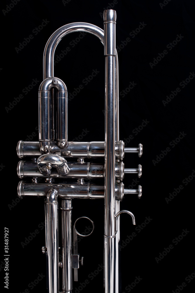 Fototapeta premium Trumpet