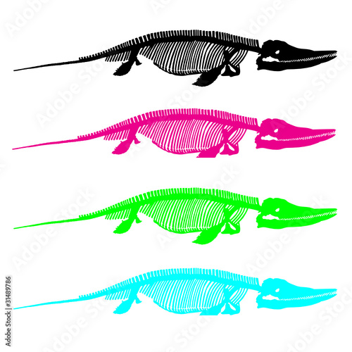 prehistoric skeleton vector